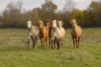 /album/fotogaleria/a20-espa-jpg/